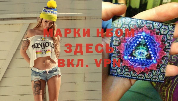 ПСИЛОЦИБИНОВЫЕ ГРИБЫ Осинники