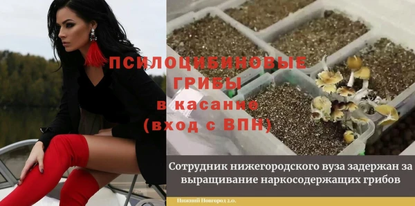 спайс Абаза