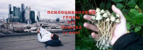 спайс Абаза