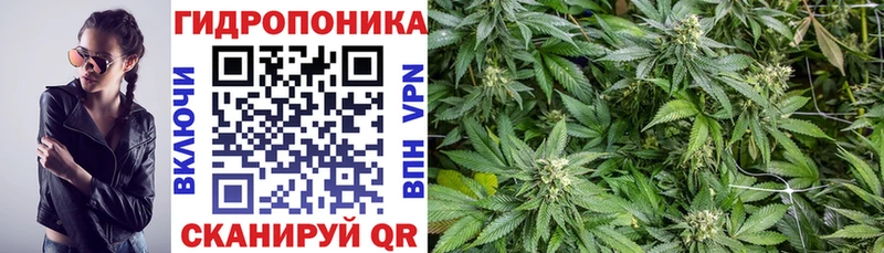 Конопля SATIVA & INDICA  blacksprut ТОР  Александровск 